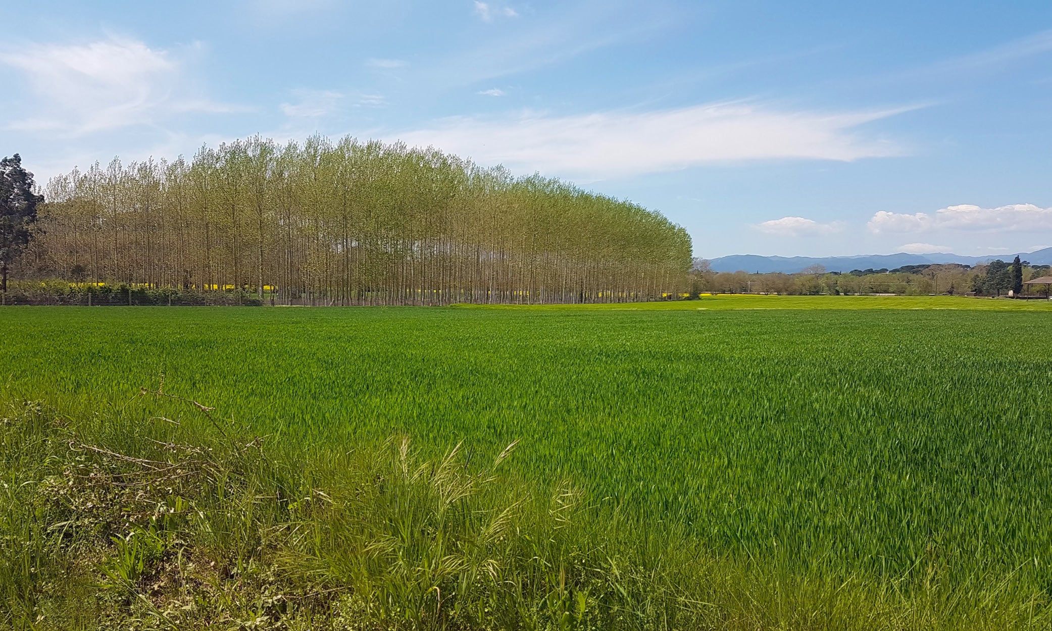 A view of the countryside from along the walk to the Bosc Terapèutic