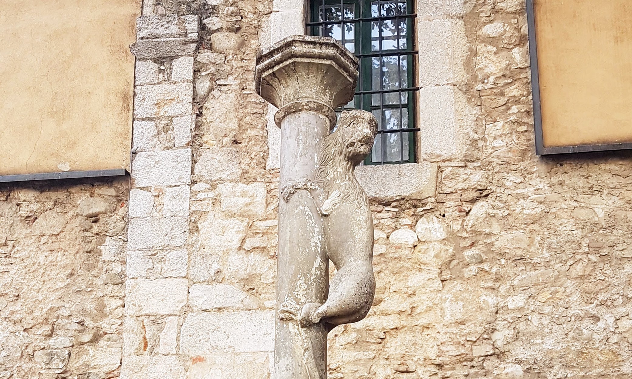 The poor lioness trying to escape up a column from all the tourists that want to kiss her bum!