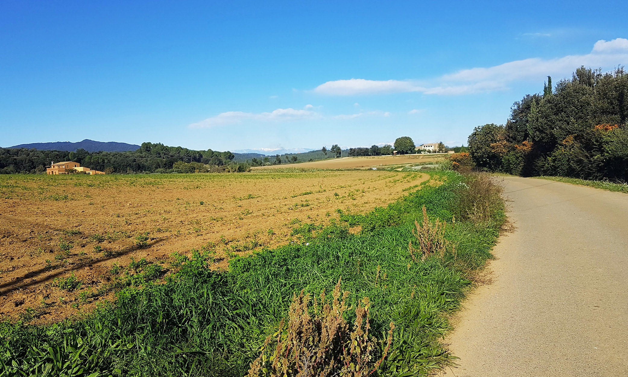 The old road from St Sadurní de l’Heura to Cruïlles