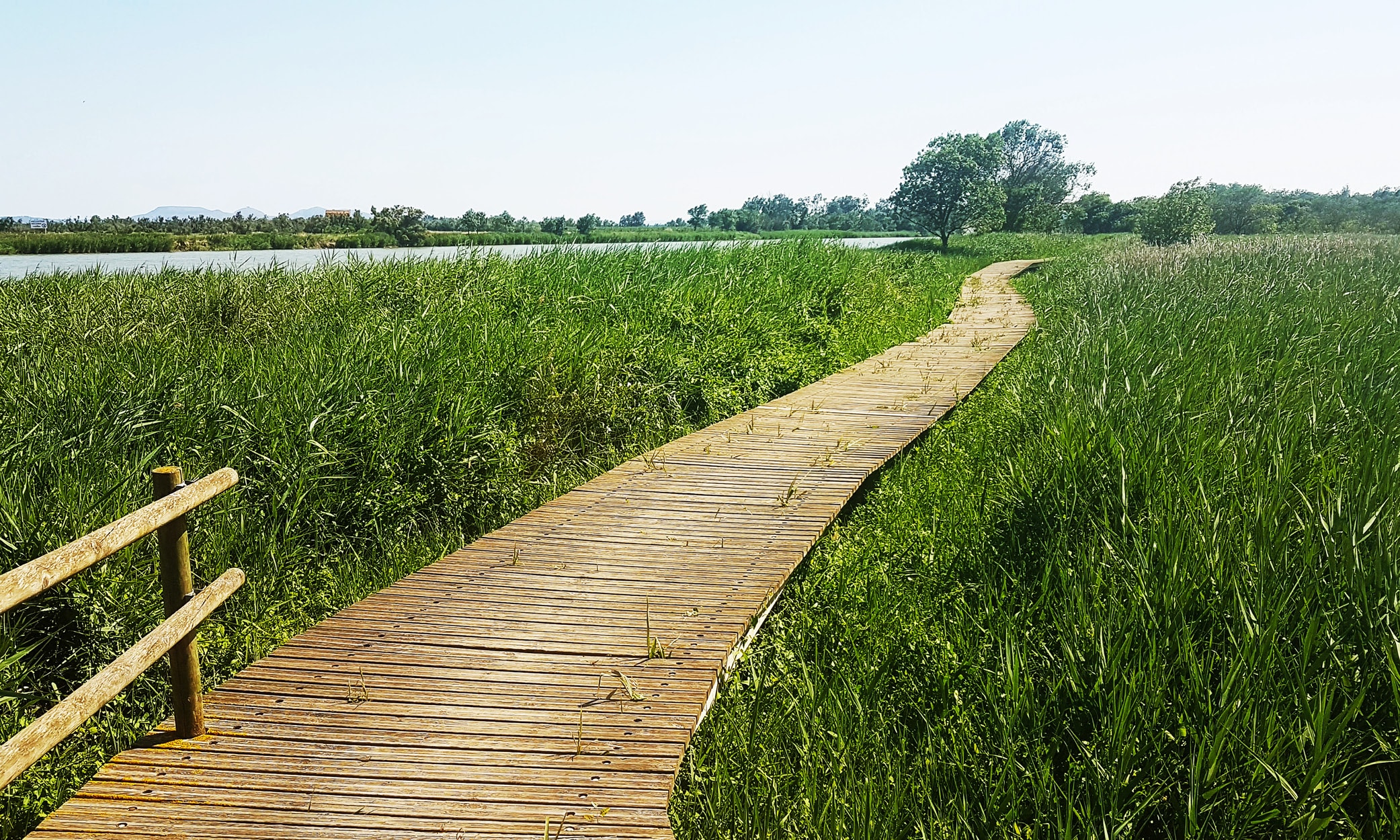 Beautiful Baix Empordà countryside. Ideal for walking, cycling or hiking.