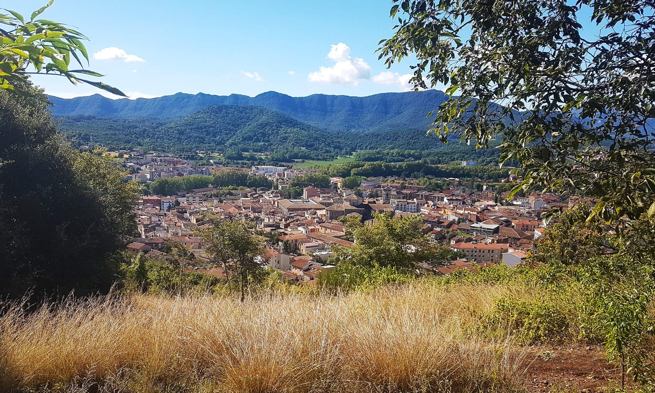 Olot, as seen from the crater of Volcan Montsacopa above the town