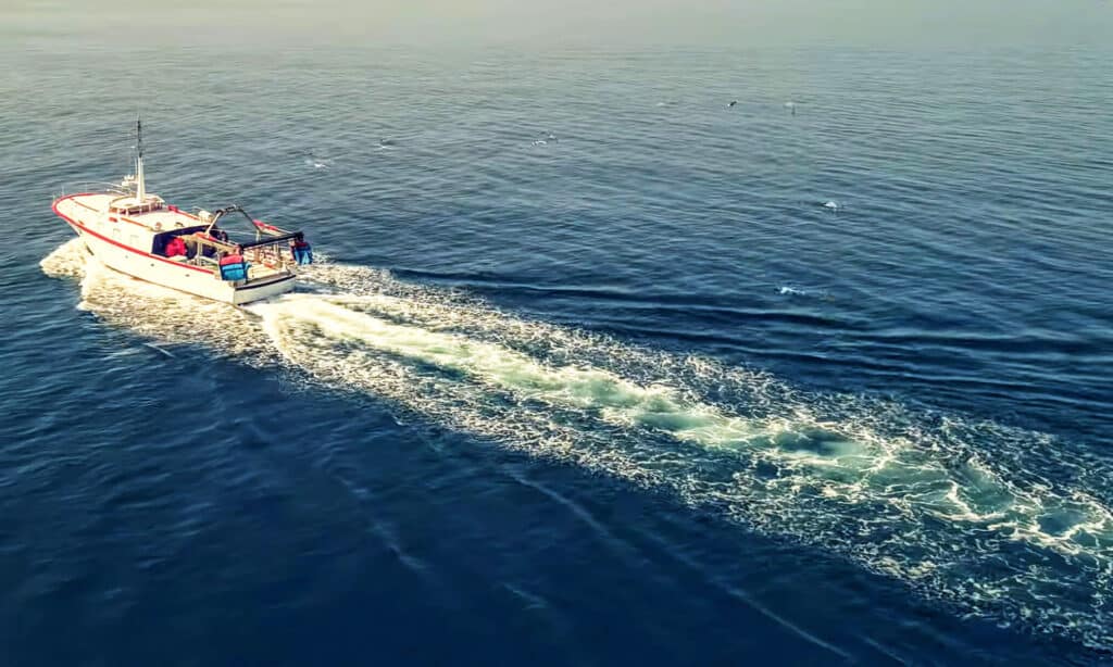 The Estrella del Sur III heading out for a day of fishing