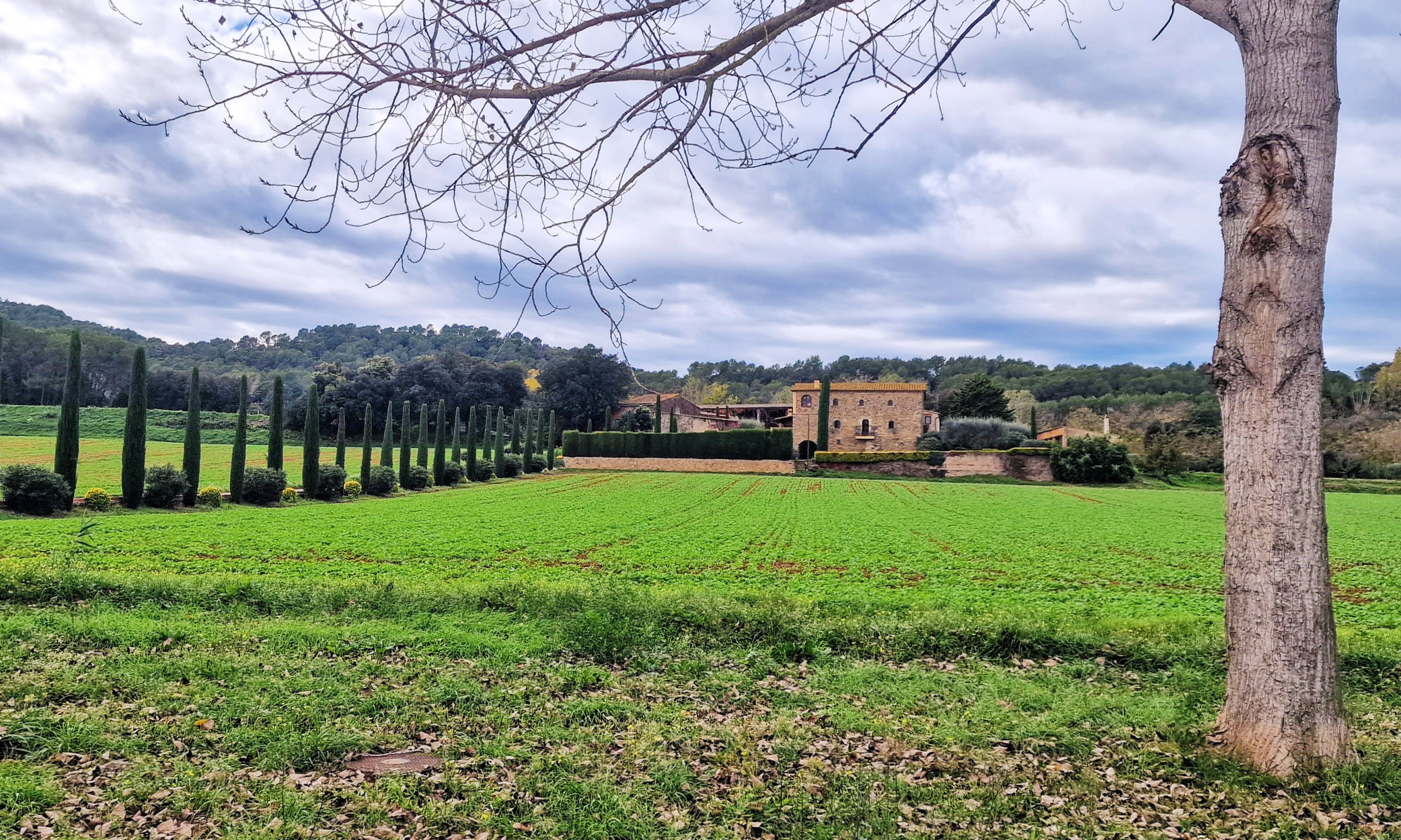 njoy costa brava pubol countryside Green fields and cypress trees frame the Púbol countryside, with the medieval castle in the distance.